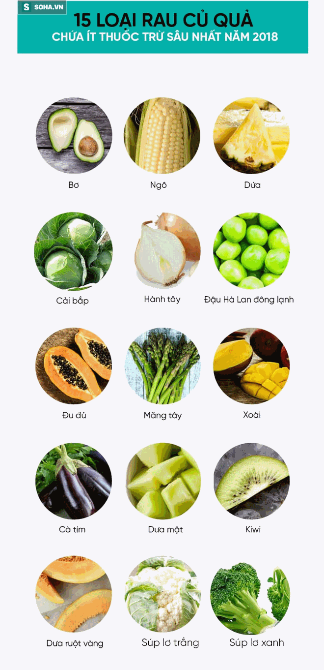 Hình ảnh các loại rau củ quả